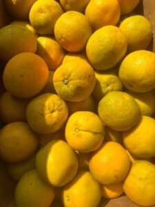 WhatsApp Image 2025-05-05 at 22.35.12 (19)