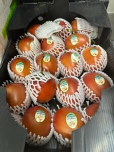 WhatsApp Image 2025-05-05 at 22.35.12 (21)