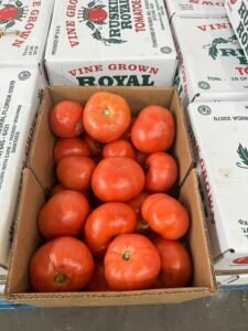 WhatsApp Image 2025-05-05 at 22.35.12 (22)