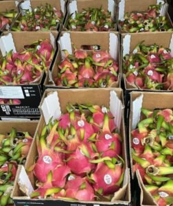 WhatsApp Image 2025-05-05 at 22.35.12 (25)