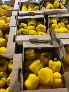 WhatsApp Image 2025-05-05 at 22.35.12 (6)